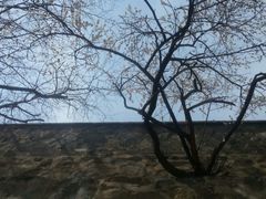 android_upload_pic-阳台山自然风景区