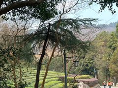 -敬亭山风景名胜区