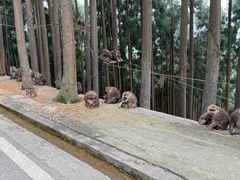 -太阳湾风景区