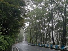 -南山植物园