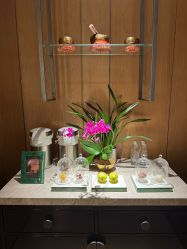 -文华东方水疗中心