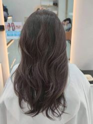 -YESIDO椰岛造型
