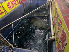 -溪悦渔庄(九龙湖店)