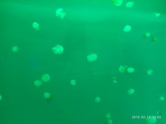 -多彩贵州城极地海洋世界