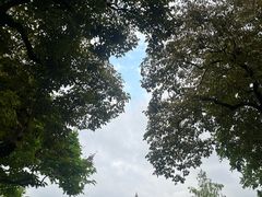 -顺峰山公园
