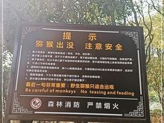 -苏州上方山国家森林公园