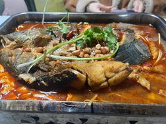 -陈生记黑鱼馆·20年活鱼现杀(宁波鼓楼店)