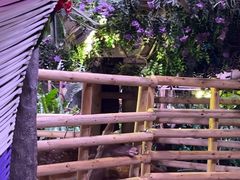-正佳雨林生态植物园