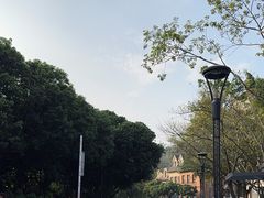 -中旅阿那亚九龙湖·公主酒店