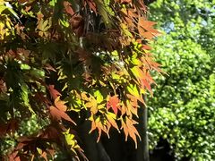 -青岛崂山太清宫