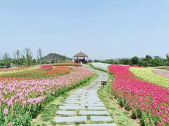 -径山花海