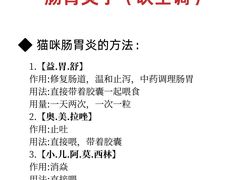-立德动物医院·24小时中心(番禺区院区)
