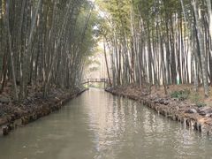 -同里国家湿地公园