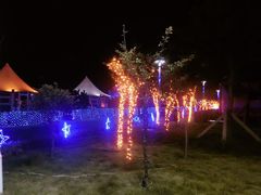 -阳光海岸露营公园