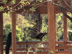 -云南艺术学院(呈贡校区)