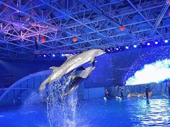 -海合安青岛极地海洋公园