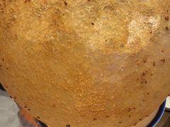 -吴越荣记苏州菜·松鼠桂鱼100%活鱼现做(斜塘老街店)