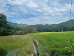 -石台牯牛降景区