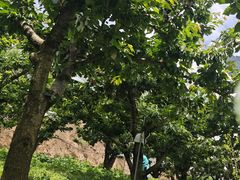 -萝卜寨羌文化生态旅游区