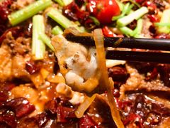 -老板恋上鱼(振华商厦店)