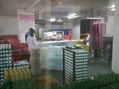 -兴芮温泉度假区