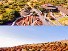-五角枫生态旅游景区