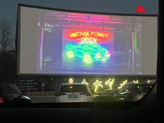 -枫花园汽车电影院(朝阳公园店)