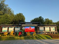 -合肥滨湖国家森林公园