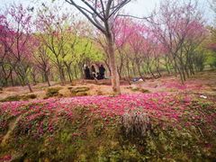 -福清灵石山国家森林公园