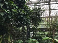 -南山植物园