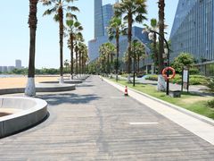 -金沙湖公园
