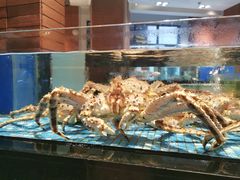 -广东道至正餐厅(区庄店)