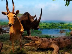 -国家自然博物馆