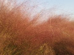 -映月湖中央公园