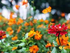 -永定河休闲森林公园