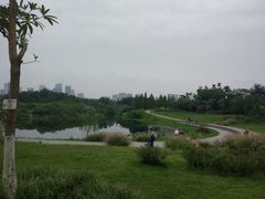 -眉山湿地公园(东坡区)