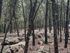 -云龙山