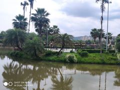 -枫香湖儿童公园