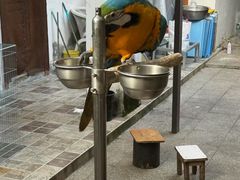 -观桥阁(锦溪店)