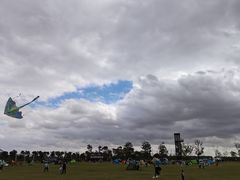 -春花秋色城市公园