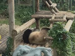 -大连森林动物园