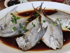 -洲晓鲜·舟山海鲜大排档(朱家尖风景区店)