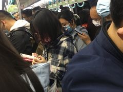 -宋家庄(地铁站)