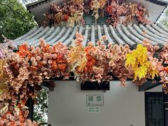 -龙湾潭国家森林公园