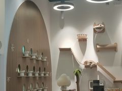 -COLOR PETS 撸猫馆·购猫·猫咖(长风大悦城店)