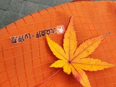 -上海瑞金洲际酒店