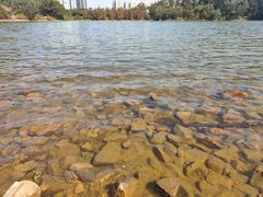 -东莞市虎英郊野公园