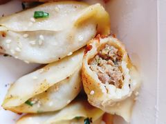 鲜肉锅贴-小姜锅贴(凤凰街店)
