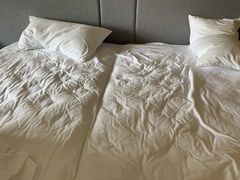 -上海佘山世茂艾美酒店