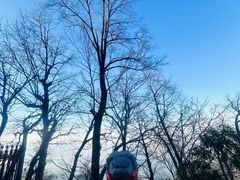 -终南山国家森林公园